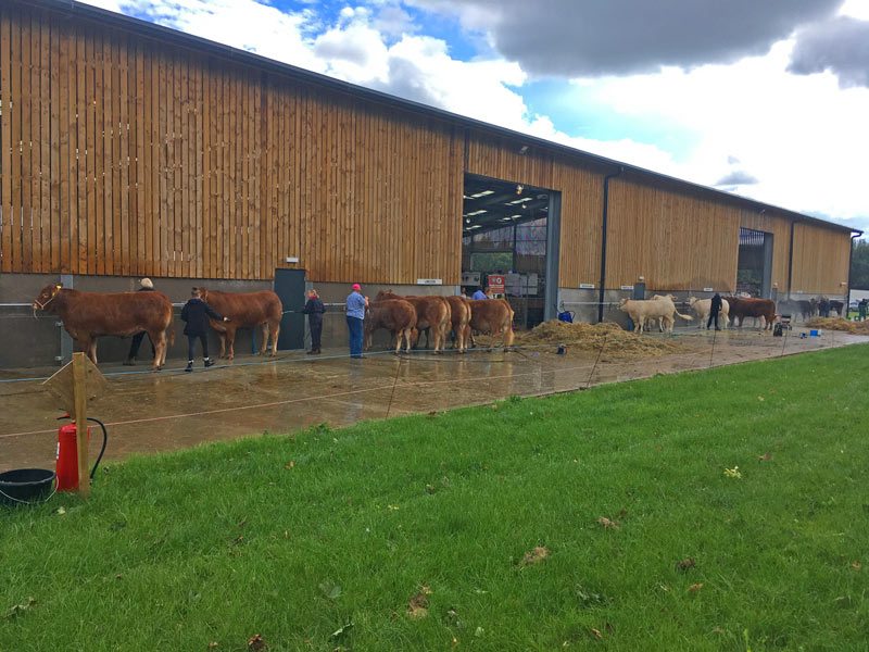 cow shed