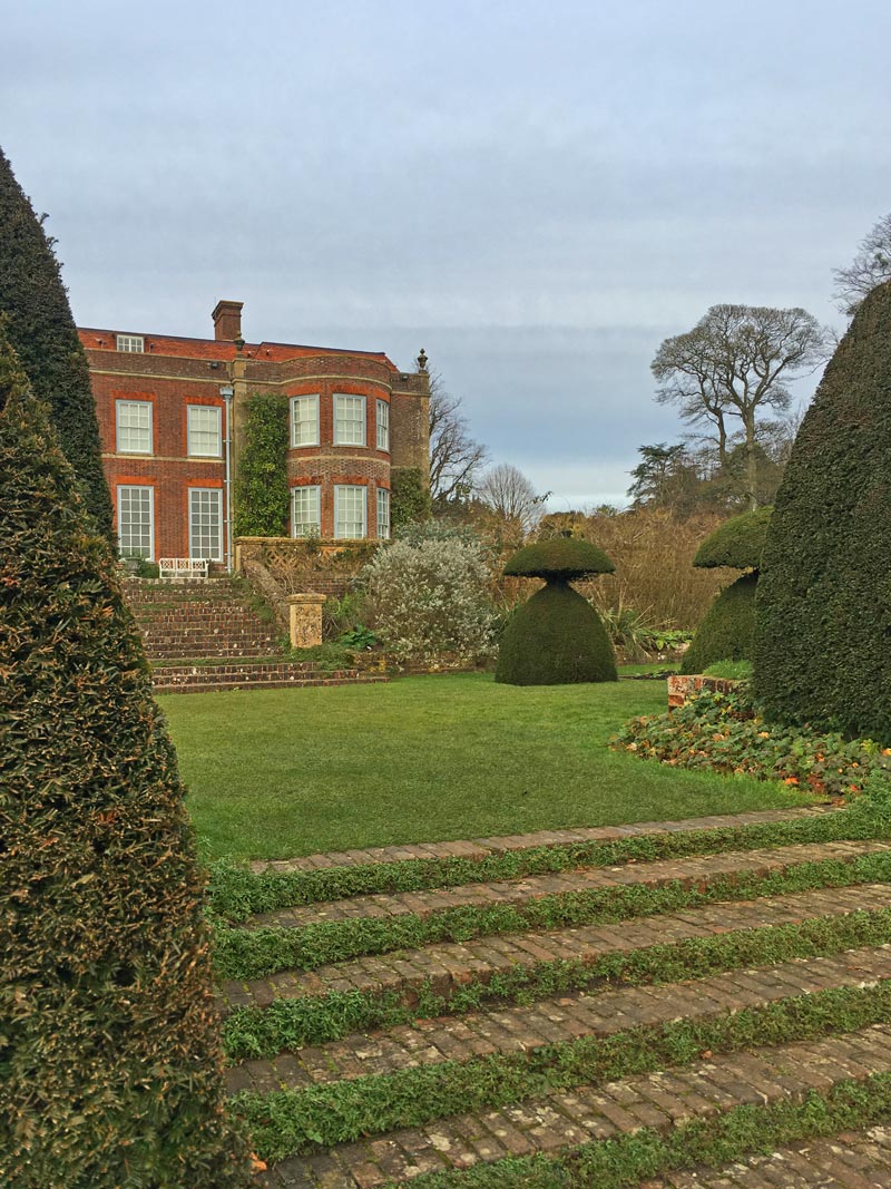 hinton ampner shrub