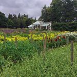 Balmoral Castle Gardens