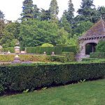 Glamis Castle Garden