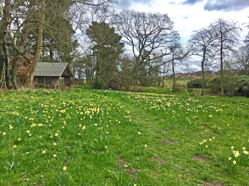 Wiveton Hall Garden