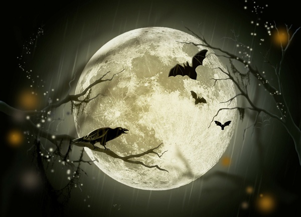 Full Moon with bats