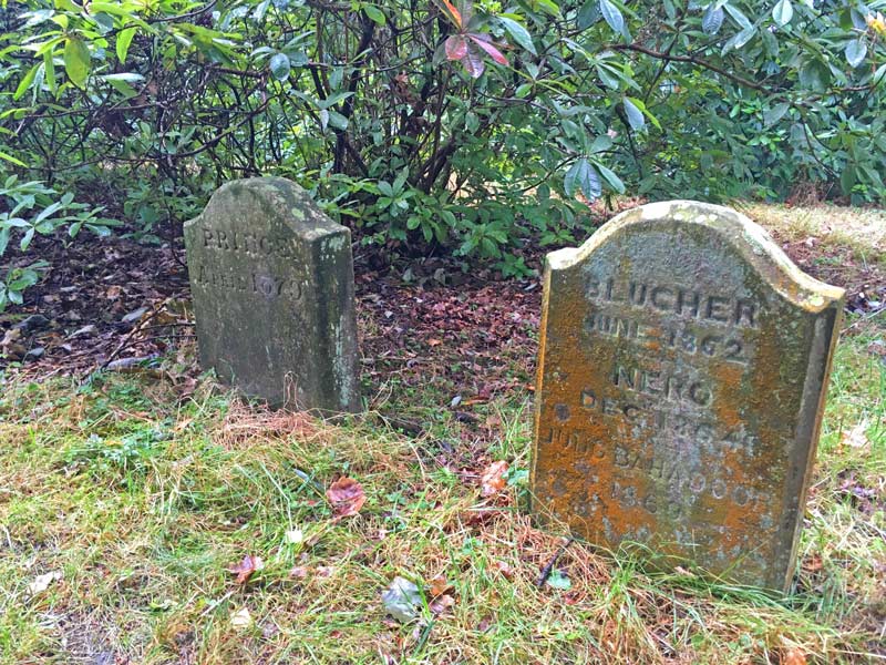 Powis Castle Pet Cemetery