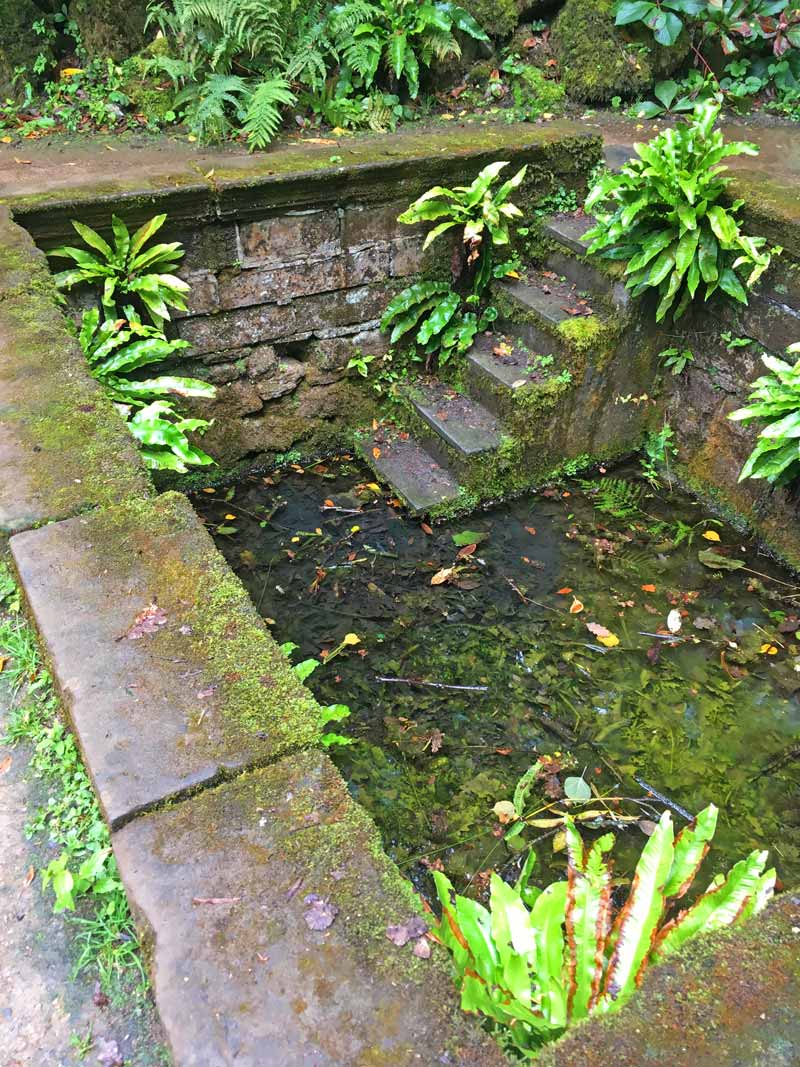 Powis Castle Plunge Pool