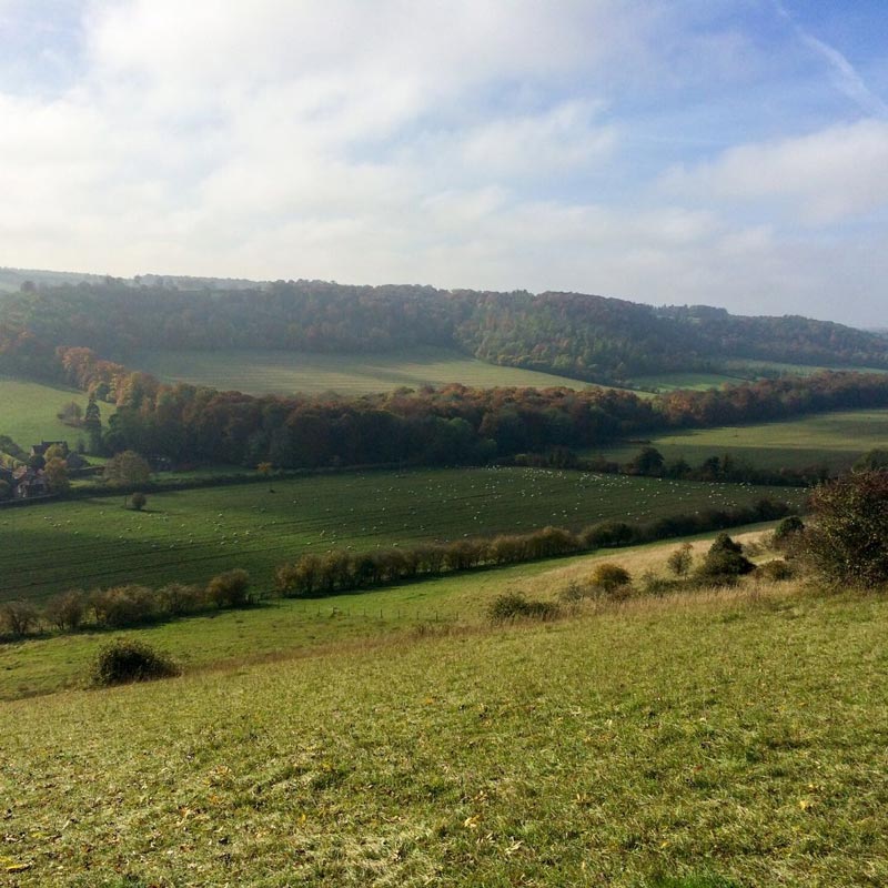 Chilterns