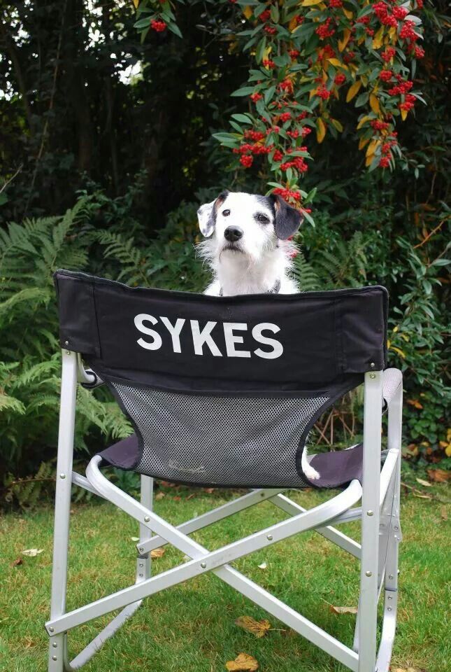 Sykes